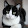 Kama Rosa Kama Rosa's profile photo