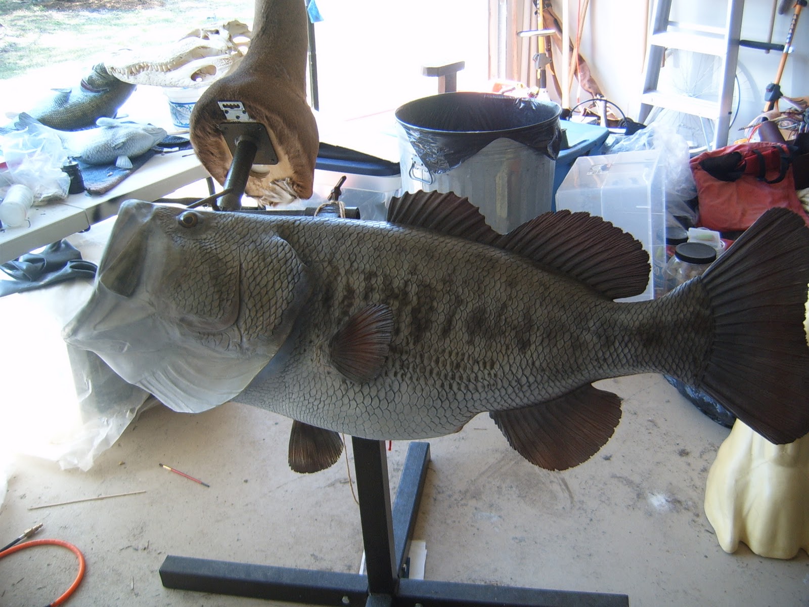 Allen's Taxidermy: The World Record Largemouth Bass