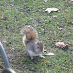 Londres: St James's Park Londres: St James's Park