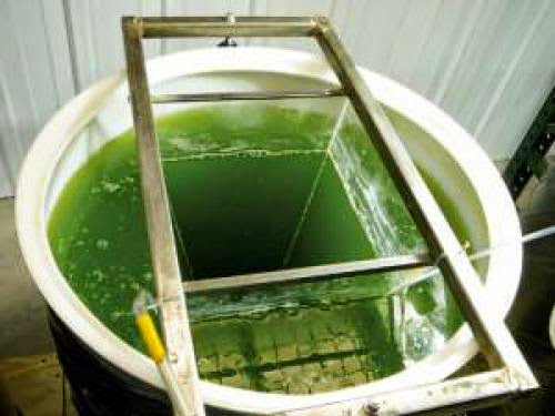 How To Make Biodiesel From Algae