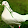 vickey saini vickey saini's profile photo
