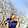 Ayu Lestari Ayu Lestari's profile photo