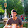 Ignasi Vega Boada Ignasi Vega Boada's profile photo