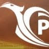 Phoenix Pawn & Guns logo