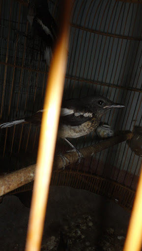 DSC02942.JPG