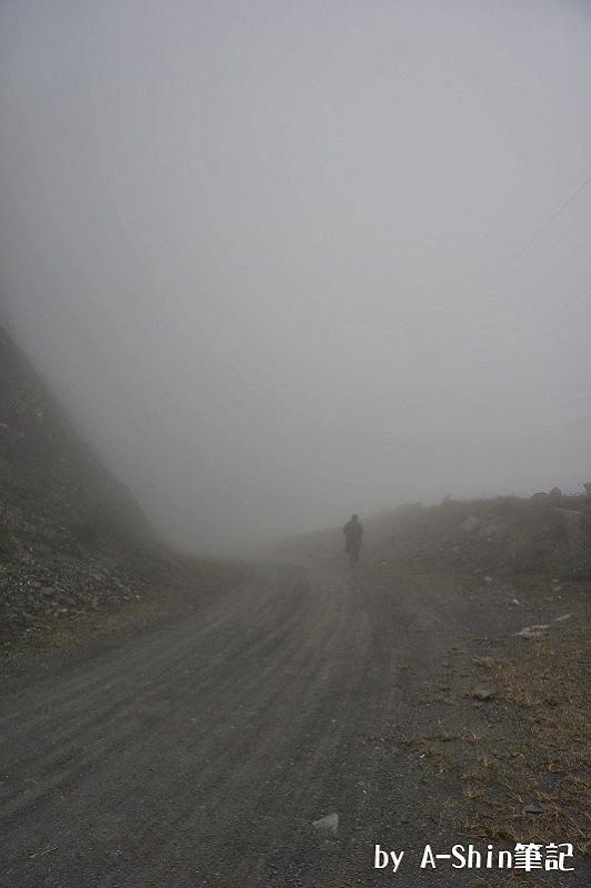 台24線生態漫步|雲霧繚繞台24線，漫步在這裡不輕鬆，霧大外，還得小心落石...