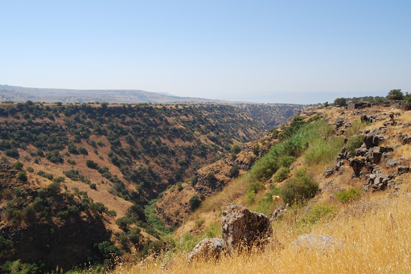 Осенние субтропики: два дня на севере Израиля.