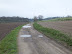 Track to Barsham Hall - no ghostly Blunderhazards detected on this occasion