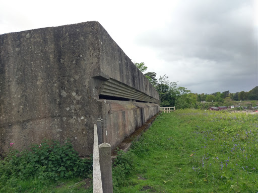 Fort Henry