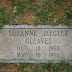 Suzanne Ziegler Gleaves
Wife of Charles Lucian Gleaves
Evergreen Cemetery - Roanoke, Virginia