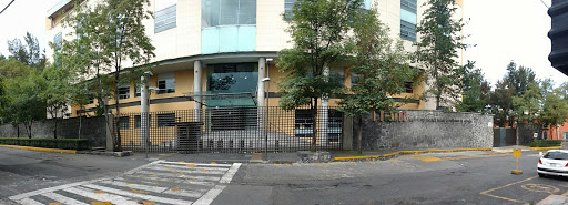 ITAM, Río Hondo 1, Progreso Tizapán, 01080 Alvaro Obregón, CDMX, México, Instituto | COL