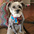 Molly Kalahar avatar image