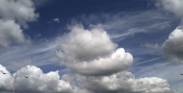 Cover photo