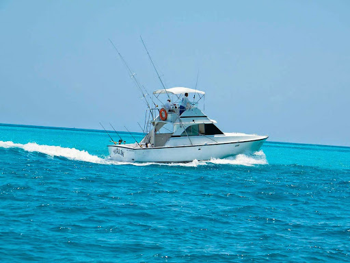 Big Game Fishing, Blvd Kukulkan km. 14.1, Marina Barracuda a un costado de puerto Madero Rest, Zona Hotelera, 77500 Cancún, Q.R., México, Excursiones de pesca | SON