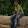 NIRAV GONDALIA NIRAV GONDALIA's profile photo