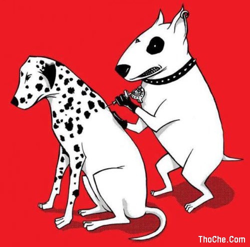 Sự Tích Con Chó Đốm Thơ chế vui Sự Tích Con Chó Đốm