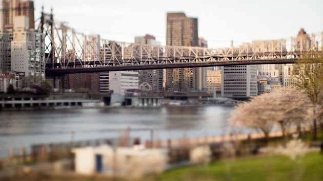Cover photo