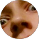Andreas Novak Andreas Novak