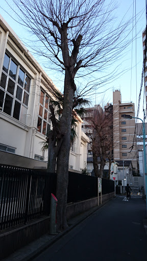Sasazuka Elementary School