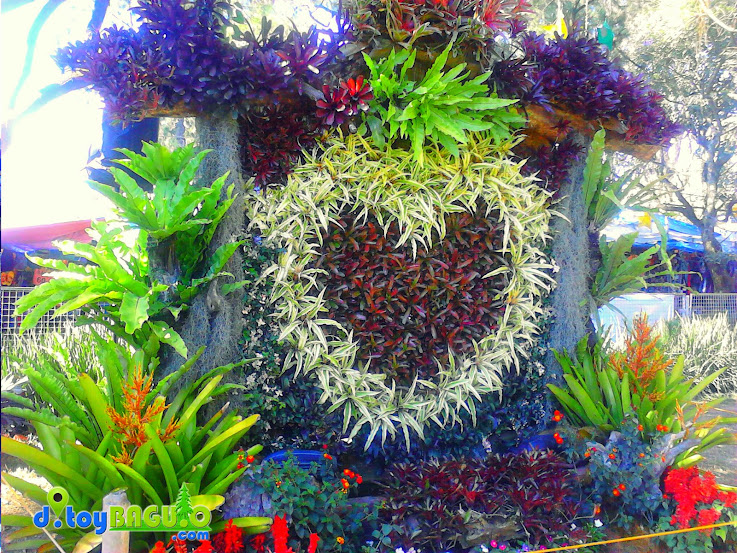 2013 Panagbenga Flower Festival Landscaping picture 31