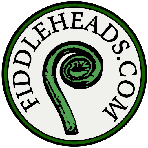 Fiddleheads Violin Studio logo