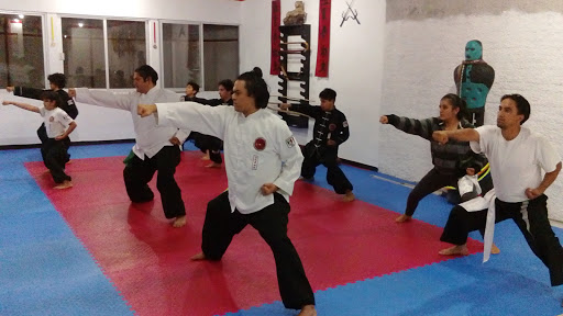 Kung Fu Tigre Negro, 20050, Fuente de Las Cibeles 626, Fuentes de la Asunción, Aguascalientes, Ags., México, Escuela de kung fu | AGS