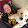 Adam Harvey Adam Harvey's profile photo