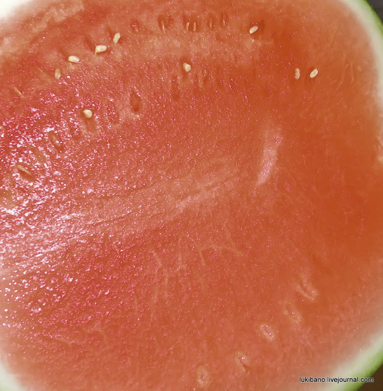 Мы открылись