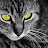 Bryan McMillin avatar image