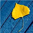 Eric Hall avatar image