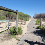 Beach access track (250975)
