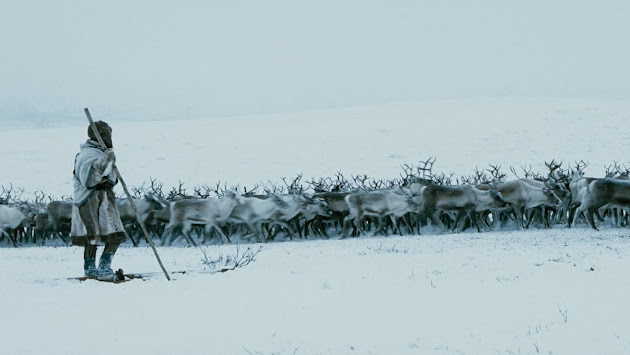Cover photo