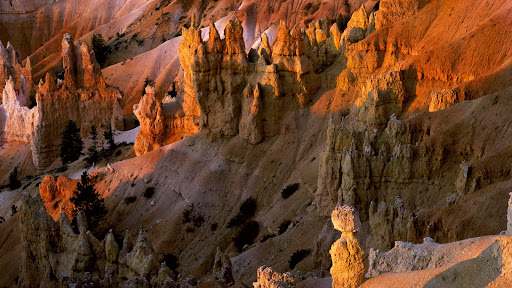 Hoodoos, Bryce Canyon, Utah.jpg