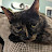 Courtney Webster avatar image