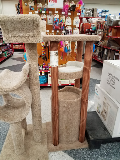 Pet Supply Store «Petco Animal Supplies», reviews and photos, 35 Fort Eddy Rd, Concord, NH 03301, USA