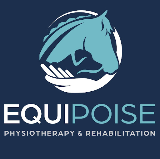 Equipoise Veterinary Physiotherapy