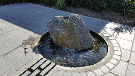 Bellevue Botanical Garden