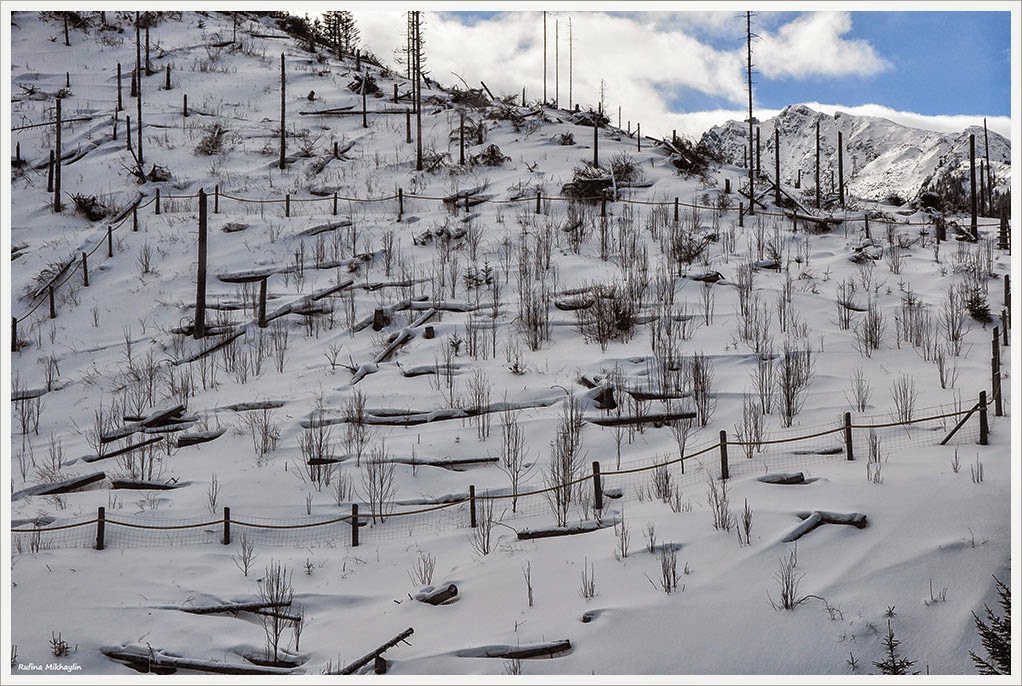 Чем заняться в Закопане, если вы без горных лыж (март, 2015)