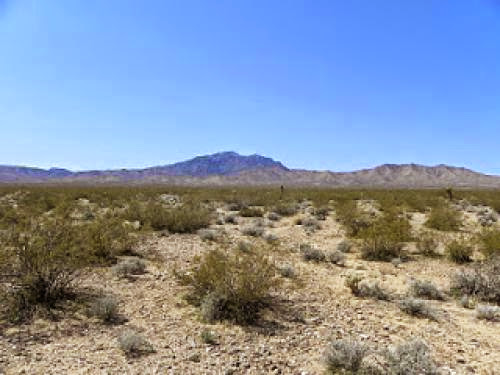 Calico And Ivanpah Solar Hearings This Week
