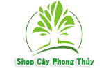 cay xanh | cay xanh van phong noi that cay, cay xanh, cay de ban, cay trong nuoc, cay trong dat, cay trong nha, cay xanh qua tang, cay xanh van phong, cay xanh thuy canh, dat sach, dat tinh the, chau thuy tinh, chau su, cay trong dat, mua cay xanh