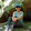 Lorraine Holcombe Lorraine Holcombe's profile photo