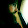 David Bator David Bator's profile photo