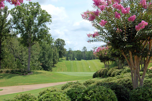 Golf Course «Stillwaters Golf Course», reviews and photos, 797 Moonbrook Dr, Dadeville, AL 36853, USA
