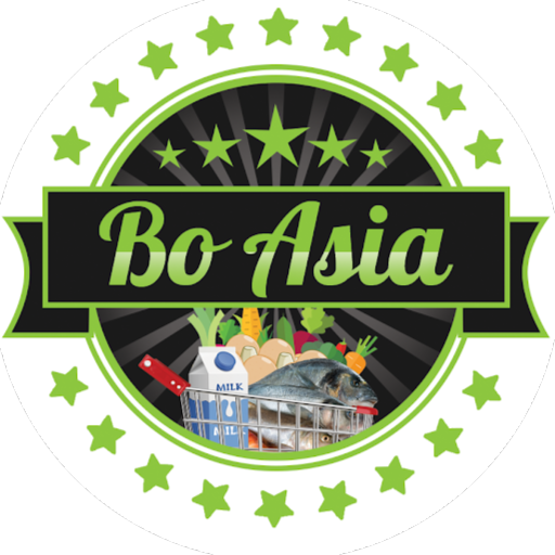Bo Asia GmbH logo