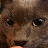 Nick Bellamy avatar image