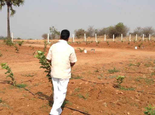 SVS Agro Farms Farm Land with Plantation, H.7-385/5, Sri Ram, Rd Number 5, Sri Ram Hills Colony, Vanasthalipuram, Hyderabad, Telangana 500079, India, Historical_Landmark, state TS
