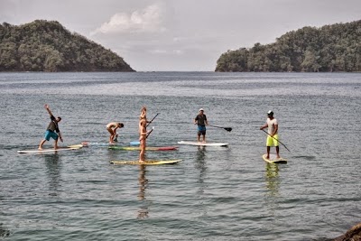 Photos of Kaludus Surf School Costa Rica