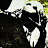 Josh Harmon avatar image