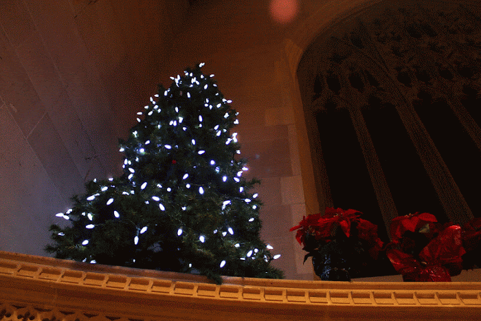 Christmas tree at Knox Presbyterian, Ottawa