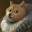 Doggy's user avatar
